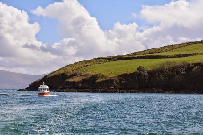 Passeio de barco para conhecer Fungie é imprescindível em Dingle. Photo by Suhail Parvez on Unsplash