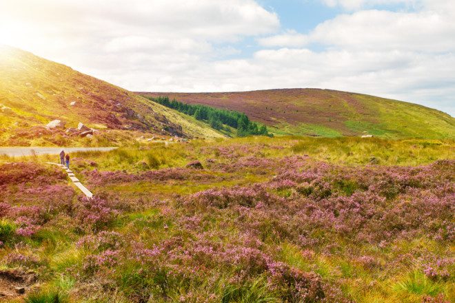 Beautiful mountain scenery, landscape. Wicklow Mountains National Park, County Wicklow, Ireland