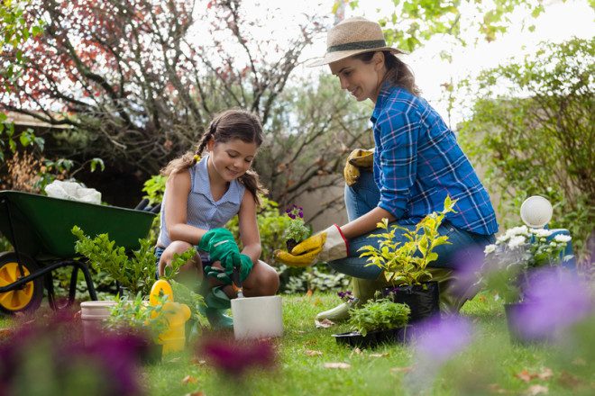 Trabalhar como voluntário em comunidades rurais e fazendas é proposta do Wwoof. © Wavebreakmedia Ltd | Dreamstime.com