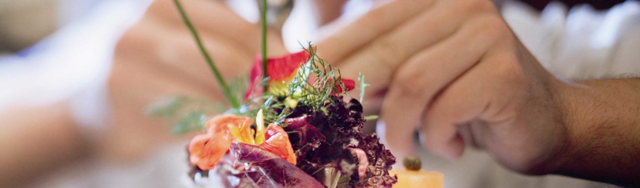 Gosta de cozinhar? Confira cursos de gastronomia na Irlanda