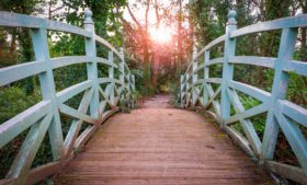 Parques em Dublin: cinco opções para curtir o verão