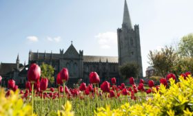 A primavera chegou na Irlanda