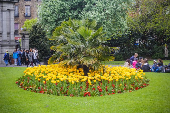 A cidade é repleta de parques, como o St. Stephen Green. Crédito: Teodor Lazarev | Dreamstime.com