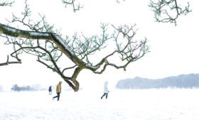 Será que vai nevar na Irlanda?