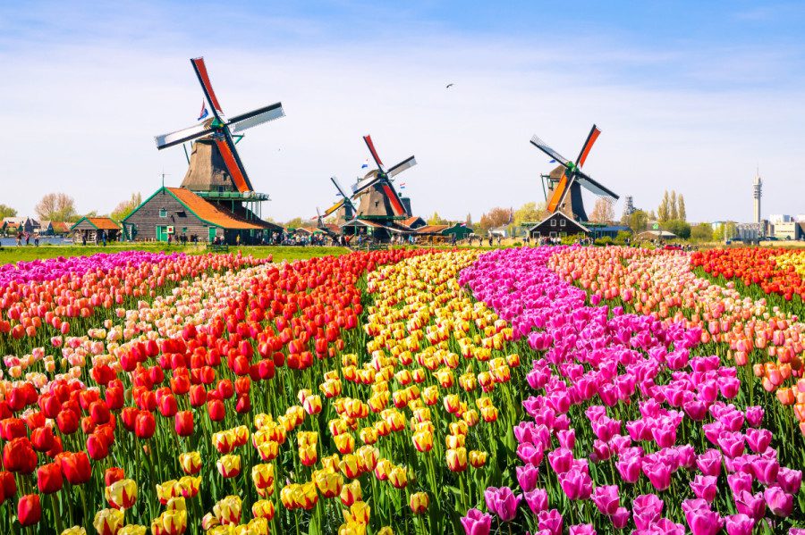 5 destinos para aproveitar a Primavera na Europa edublin 5 destinos para aproveitar a Primavera na Europa edublin