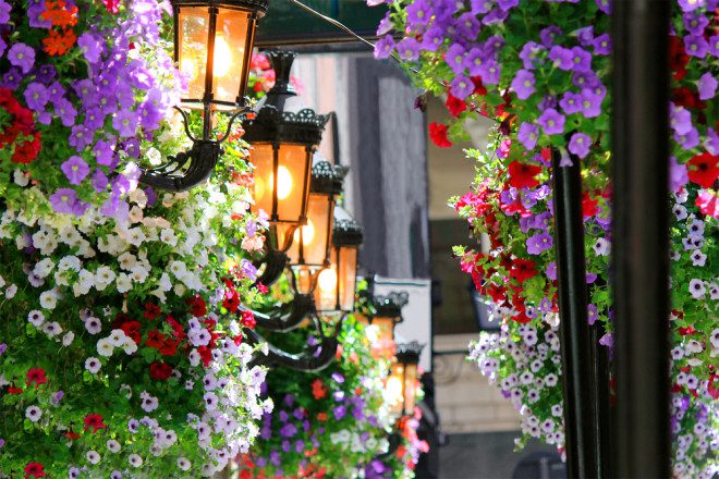 Primavera em Dublin. Foto: Shutterstock