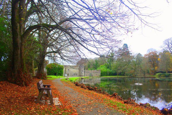 O sol brilhava forte em Galway. Crônicas da Ilha. Crédito: Avany França