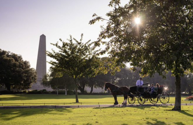 Curso voltado para quem quer conhecer mais da história e curiosidades sobre o Phoenix Park. Reprodução: Live Ireland