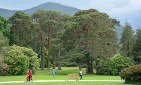 Parques da Irlanda para conhecer durante o intercâmbio