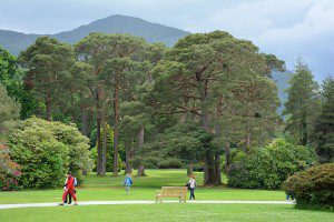 Parques da Irlanda para conhecer durante o intercâmbio