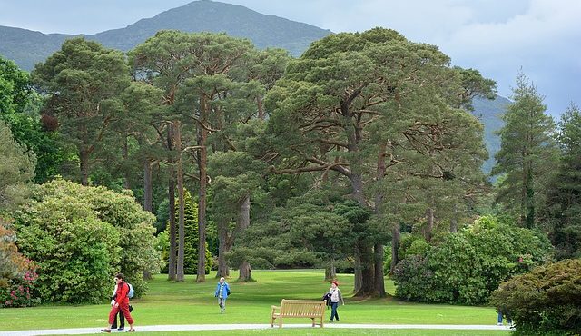 Parques da Irlanda para conhecer durante o intercâmbio