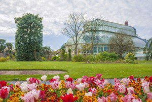 National Botanic Gardens: conheça o jardim botânico nacional em Dublin