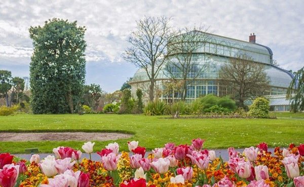 National Botanic Gardens: conheça o jardim botânico nacional em Dublin