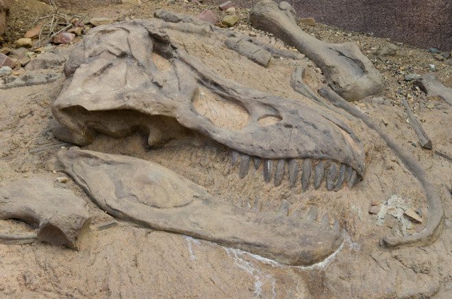 O Deserto de Gobi, na Mongólia, foi palco para descoberta dos maiores fósseis de dinossauro do mundo. Crédito: Depositphotos/hansenn