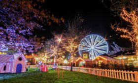 Atrações imperdíveis do Natal em Galway