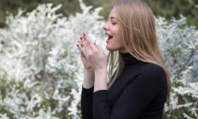 Hay fever: conheça as causas e efeitos da alergia sazonal na Irlanda