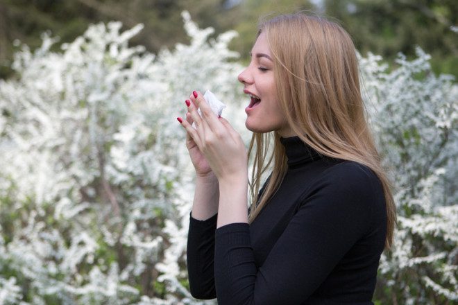 Recomenda-se toda medicação agora, para minimizar a presença das alergias na Primavera.© Adamgregor | Dreamstime.com