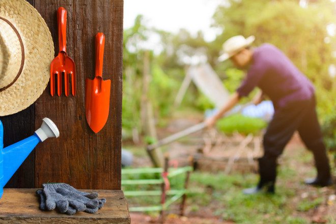 Na Irlanda há oportunidades para trabalhar em fazendas. Prat Kitchatorn | Dreamstime