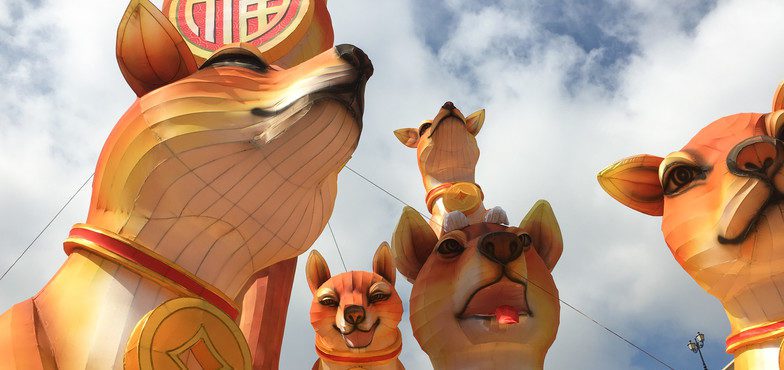 Festival celebra o Ano Novo Chinês em Dublin