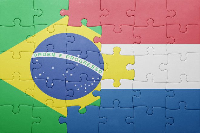 Conexão Brasil-Holanda é feita por instituição que atua há dez anos na área. Foto: Ruletkka/Dreamstime