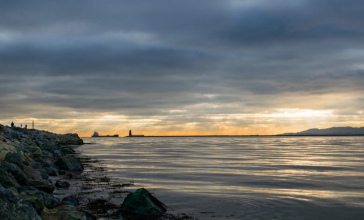 Bull Island: uma reserva natural localizada na baía de Dublin