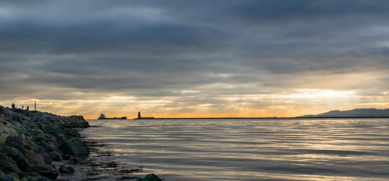 Bull Island: uma reserva natural localizada na baía de Dublin