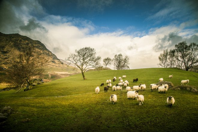 Os cenários encantadores do interior da Irlanda na Primavera. Foto: Dachux21 | Dreamstime