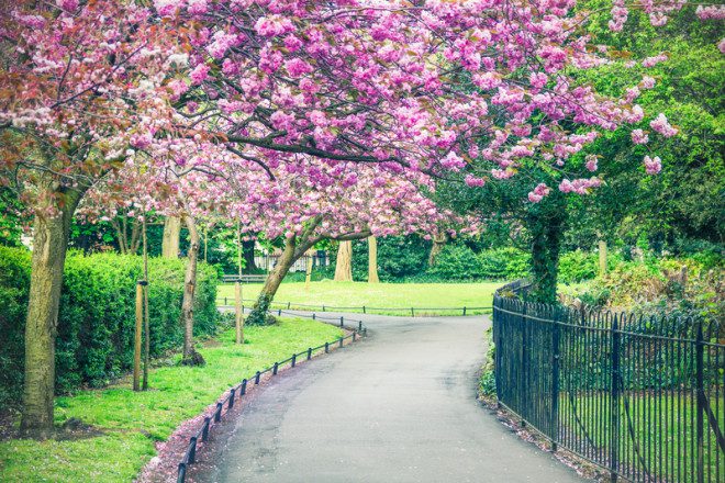 Caminhar pelos parques de Dublin no fim da tarde torna-se mais agradável na primavera. Foto: Giancarlo Liguori | Dreamstime