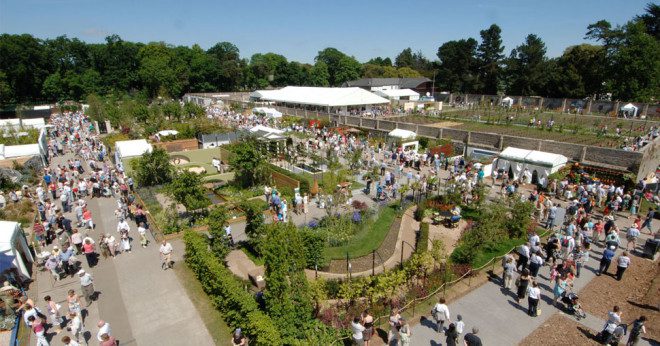 Foto: Bloom in the park