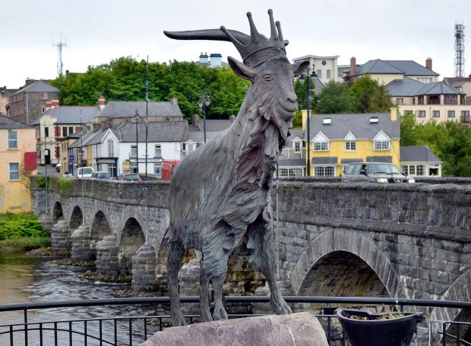 Festival em Limerick coroa o bode Puck .Foto: Steven Cukrov/Dreamstime