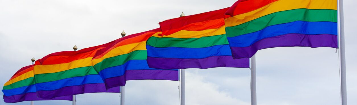 Guia Irlanda LGBTQIA+: história de luta e conquistas, vida noturna e cultural