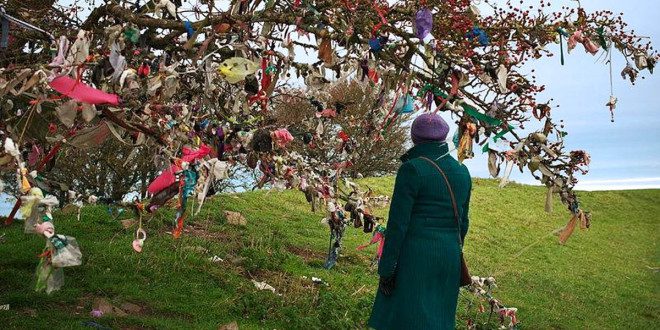 Jardim Botânico realiza tour especial no mês de São Patrício. Foto: Dublin