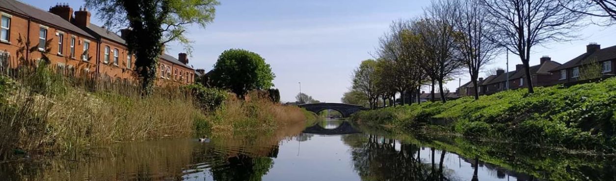 Que tal passear de caiaque pelo Grand Canal, em Dublin?
