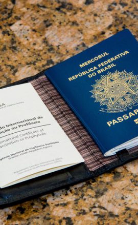 Tudo sobre vistos na Irlanda: guia completo (2022)