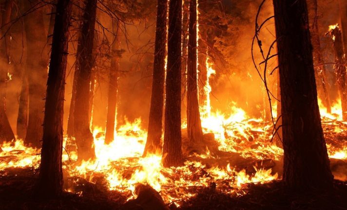 Incêndio na Amazônia é destaque na imprensa irlandesa