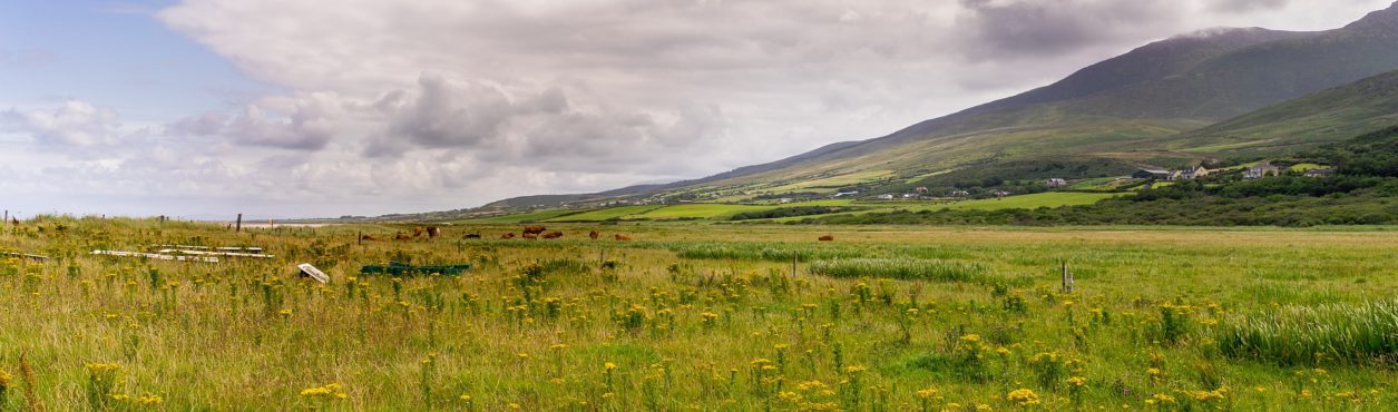 Irish Forecast: fim de semana será de calor na Irlanda