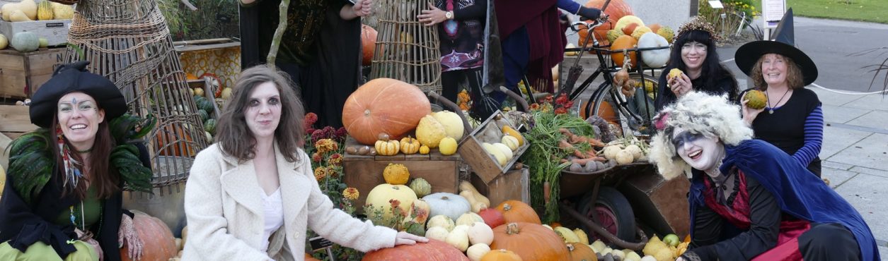 Halloween no Dublin Botanic Gardens tem exposição de abóboras