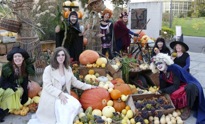 Halloween no Dublin Botanic Gardens tem exposição de abóboras