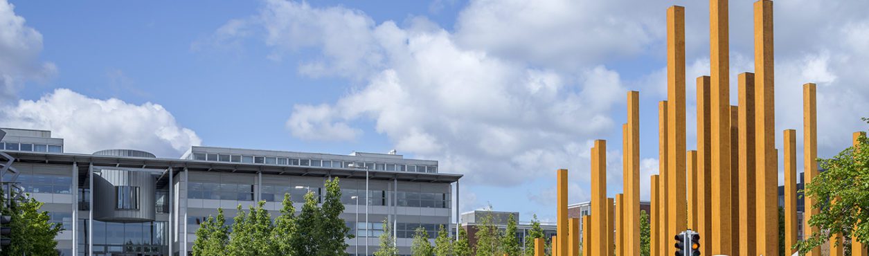 Universidade vai criar complexo habitacional para estudantes em Dublin