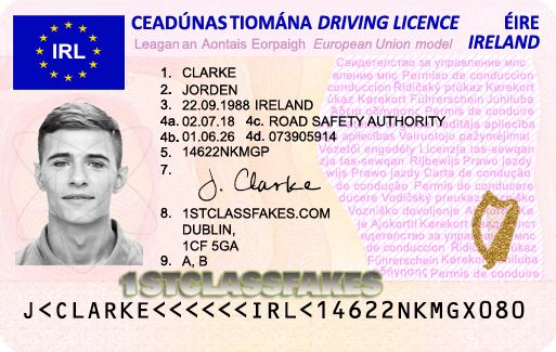 Carta de habilitação irlandesa (Driving License) tem forma de cartão. Foto: Divulgação