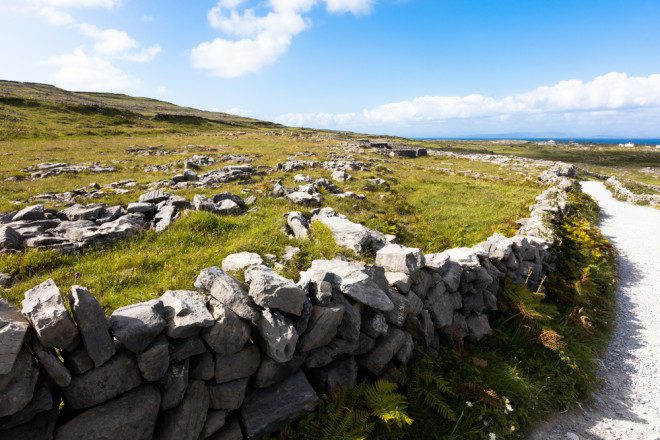 Verão pelo interior da Irlanda. Crédito: Shutterstock