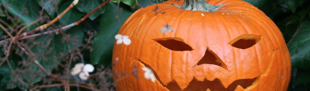 10 curiosidades sobre o Halloween