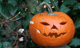 10 curiosidades sobre o Halloween