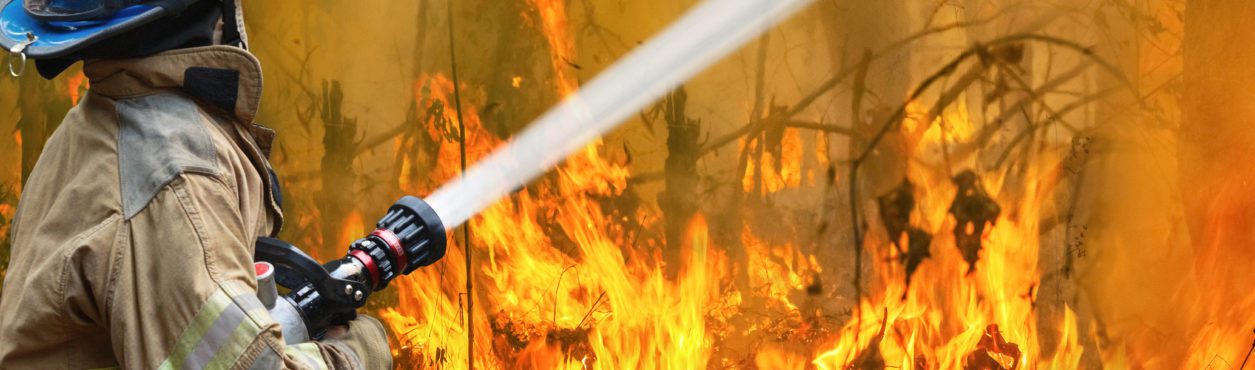 Brasileiros na Austrália narram dia a dia dos incêndios