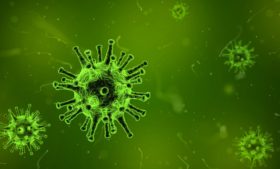 Coronavírus na Irlanda: últimas notícias