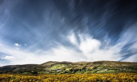 Primeira semana de fevereiro terá ‘clima de primavera’ na Irlanda