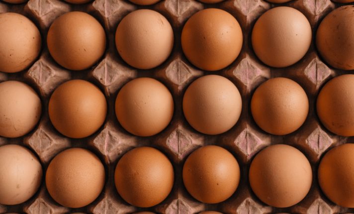 Gripe aviária: ovos acabam e Irlanda precisa importar produto