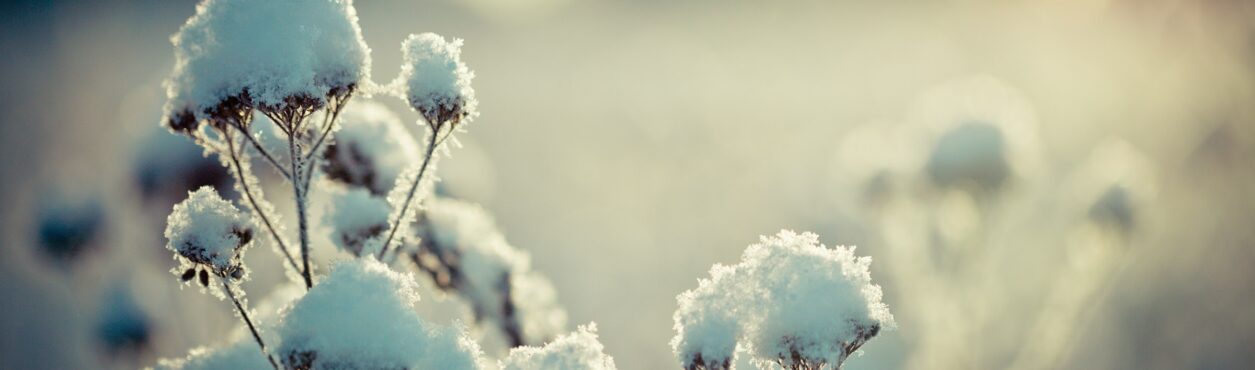 Previsão do tempo na Irlanda: Onda de Frio Intensa com Possibilidade de Neve
