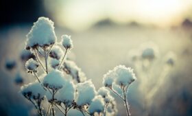 Previsão do tempo na Irlanda: Onda de Frio Intensa com Possibilidade de Neve