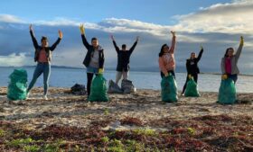 Voluntários brasileiros atuam na limpeza de praia na Irlanda